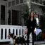 Dog Harness