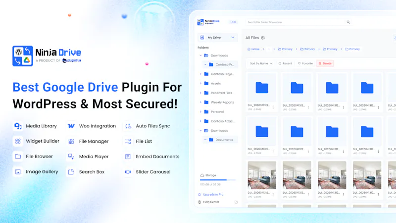 Ninja Drive - Google Drive for WordPress screenshot 2