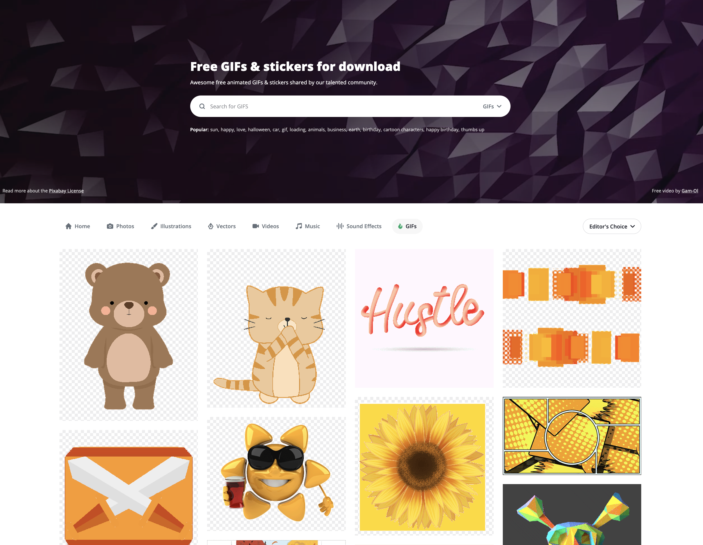 Pixabay GIFS