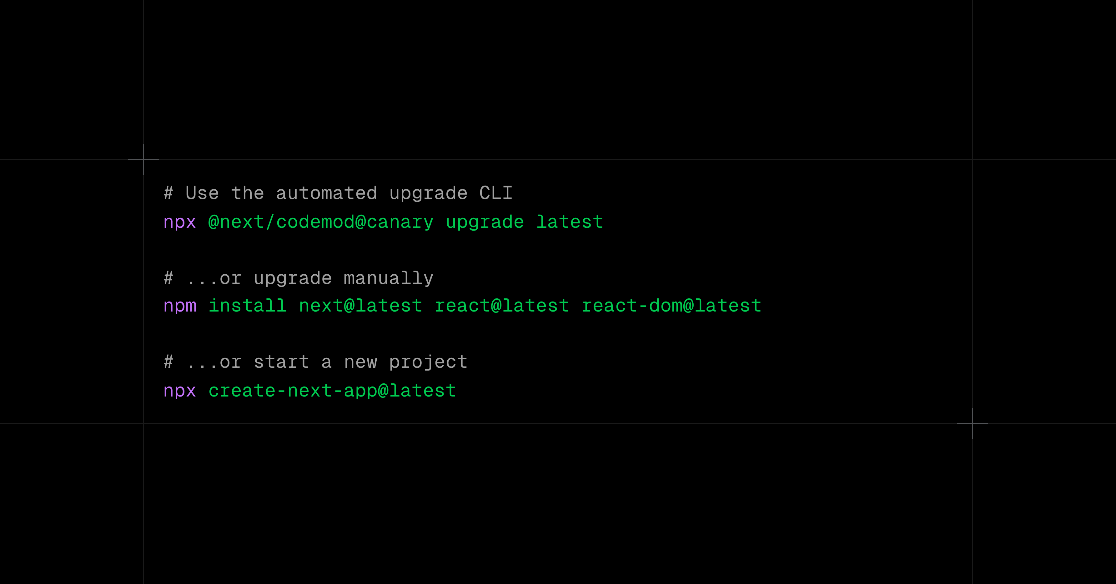 Next.js 16 gallery image