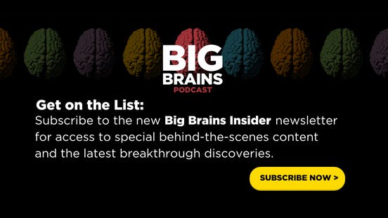 Big Brains Insider media 1