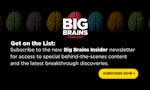 Big Brains Insider image