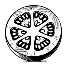 TomatoSCI gallery image