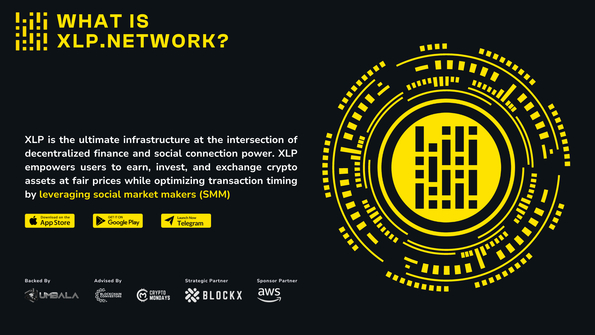 xLP Network gallery image