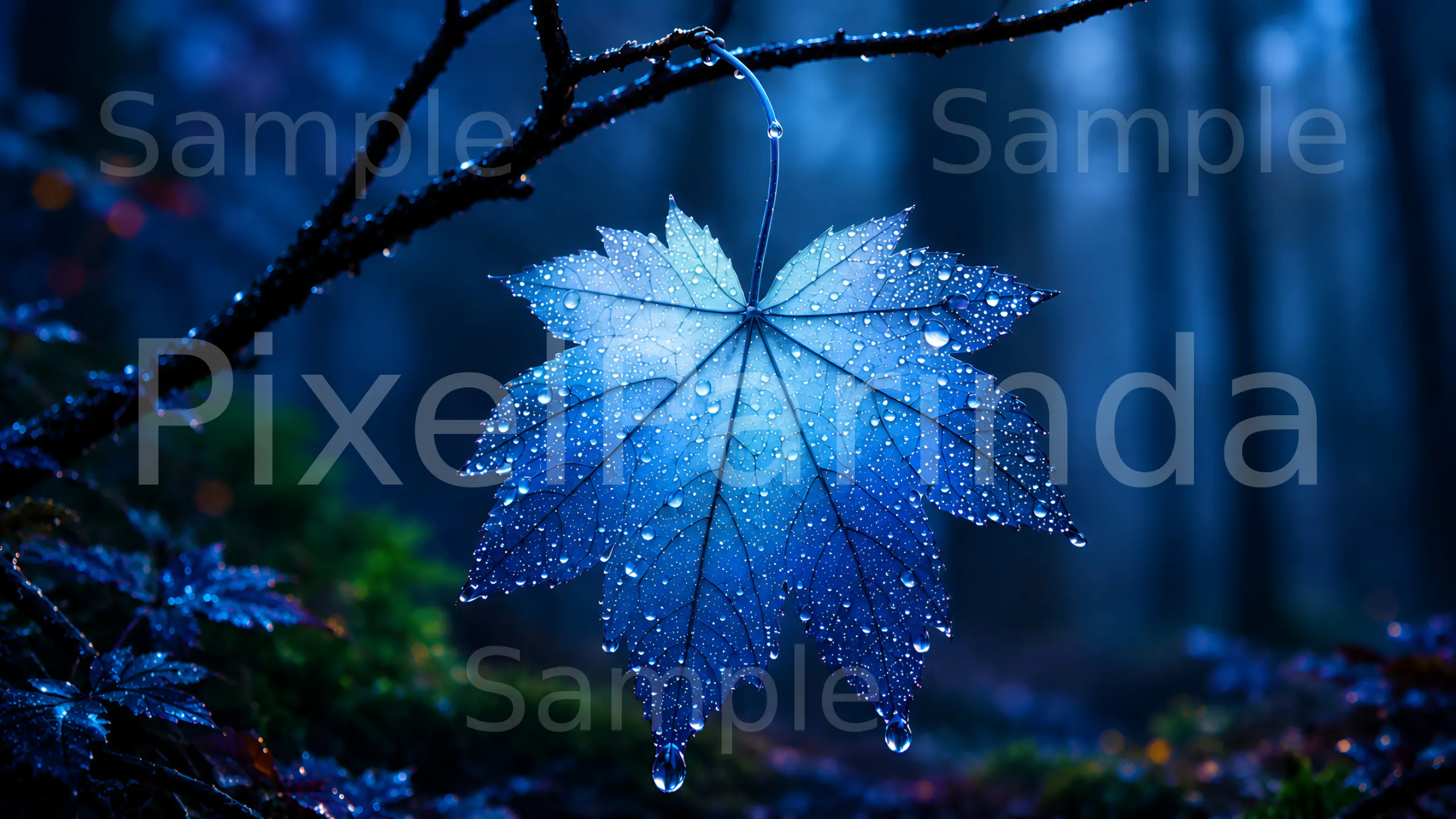 Nature Collection – 4k 101 Images pack gallery image