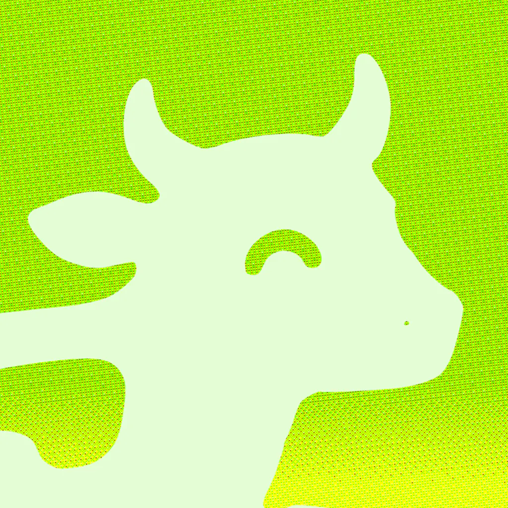mooola