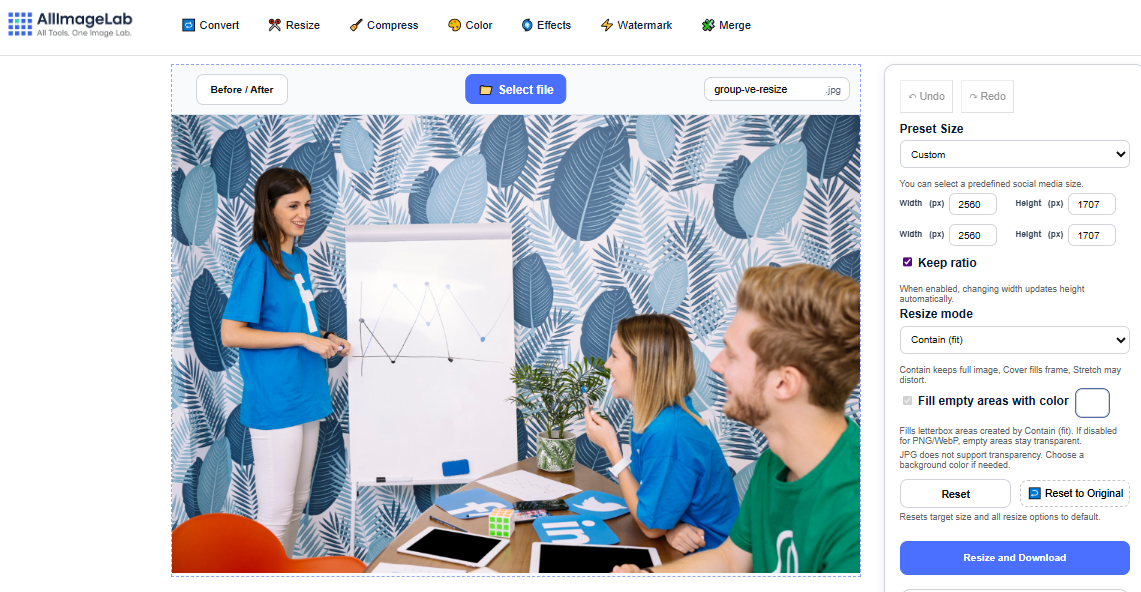 AllImageLab gallery image