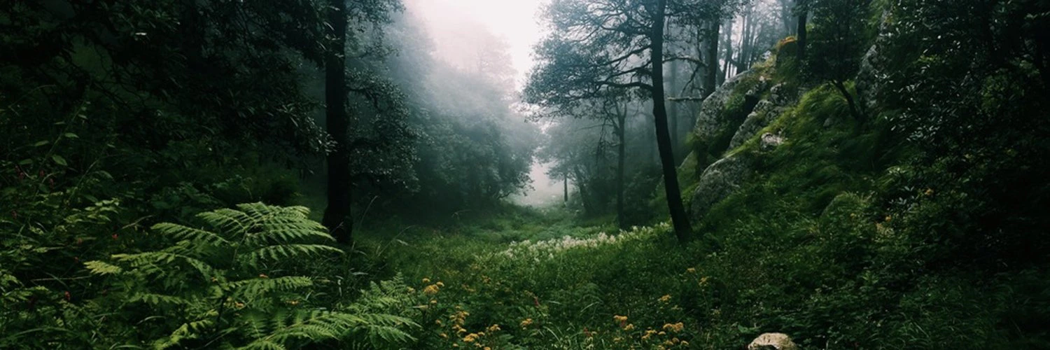 Mario Gomez-Hall cover