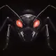 ANTagony – The Ant Prisoner's Dilemma