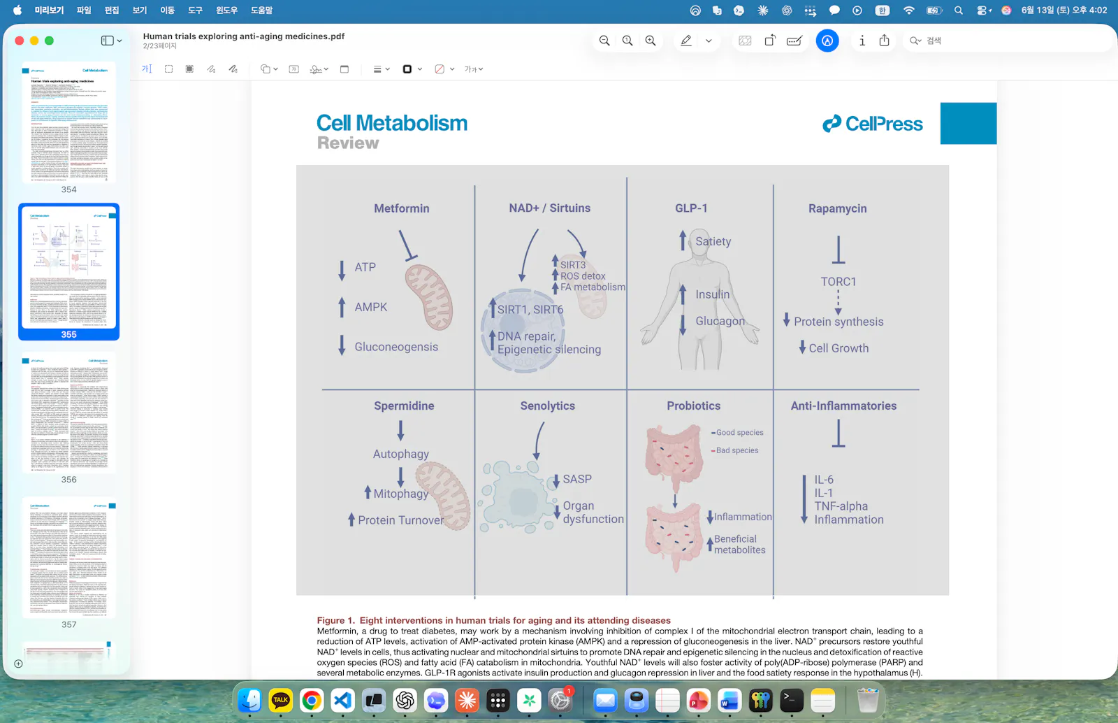 Macsist screenshot 3