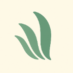 Insight - Product Hunt launch logo and brand identity