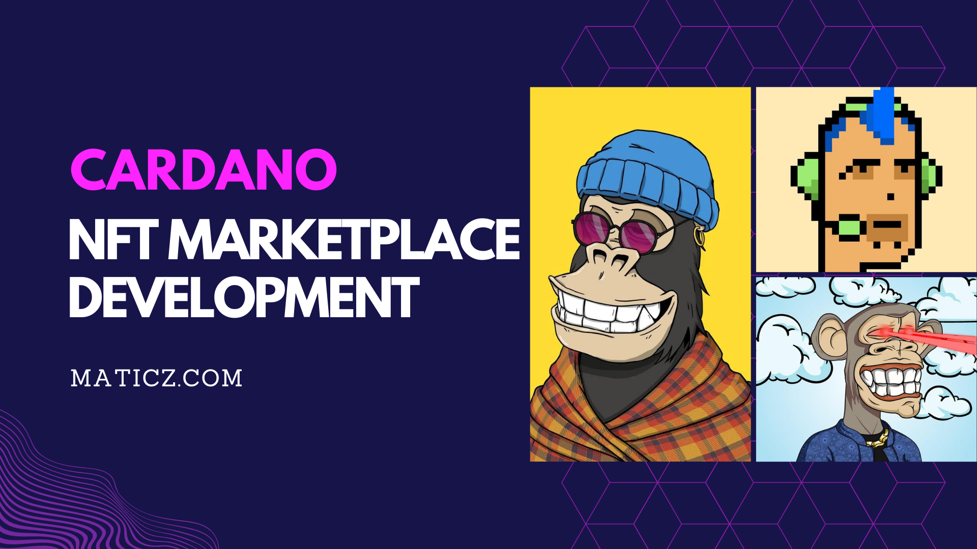 Cardano NFT Marketplace Development media 1