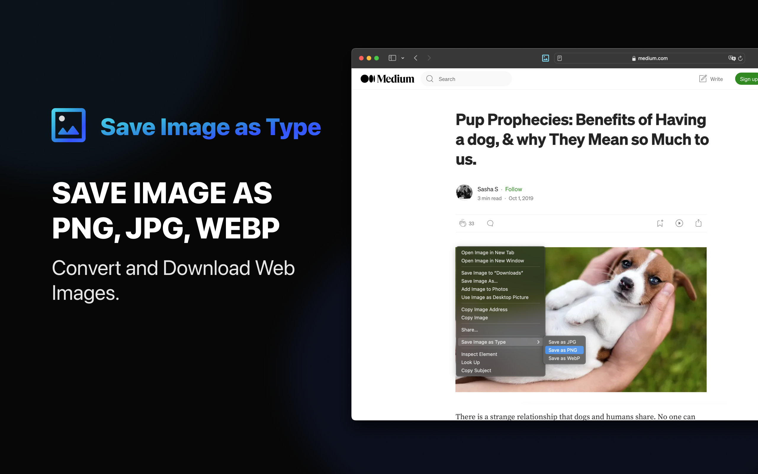 Bild als Typ speichern - Speichern Sie jedes Webbild als PNG, JPEG oder WebP über Safari -Erweiterung Medien 2