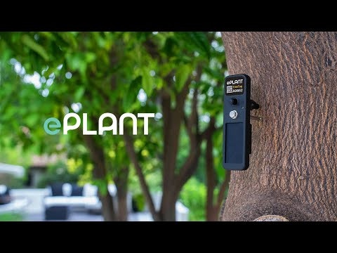 ePlant TreeTag gallery image
