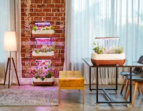 Herbstation by Altifarm gallery image