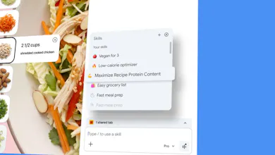 Google Chrome Skills 畫廊圖片
