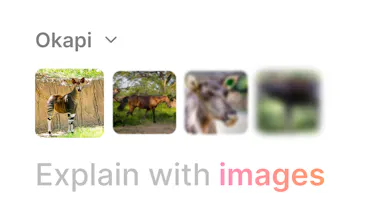 WordDirectory gallery image