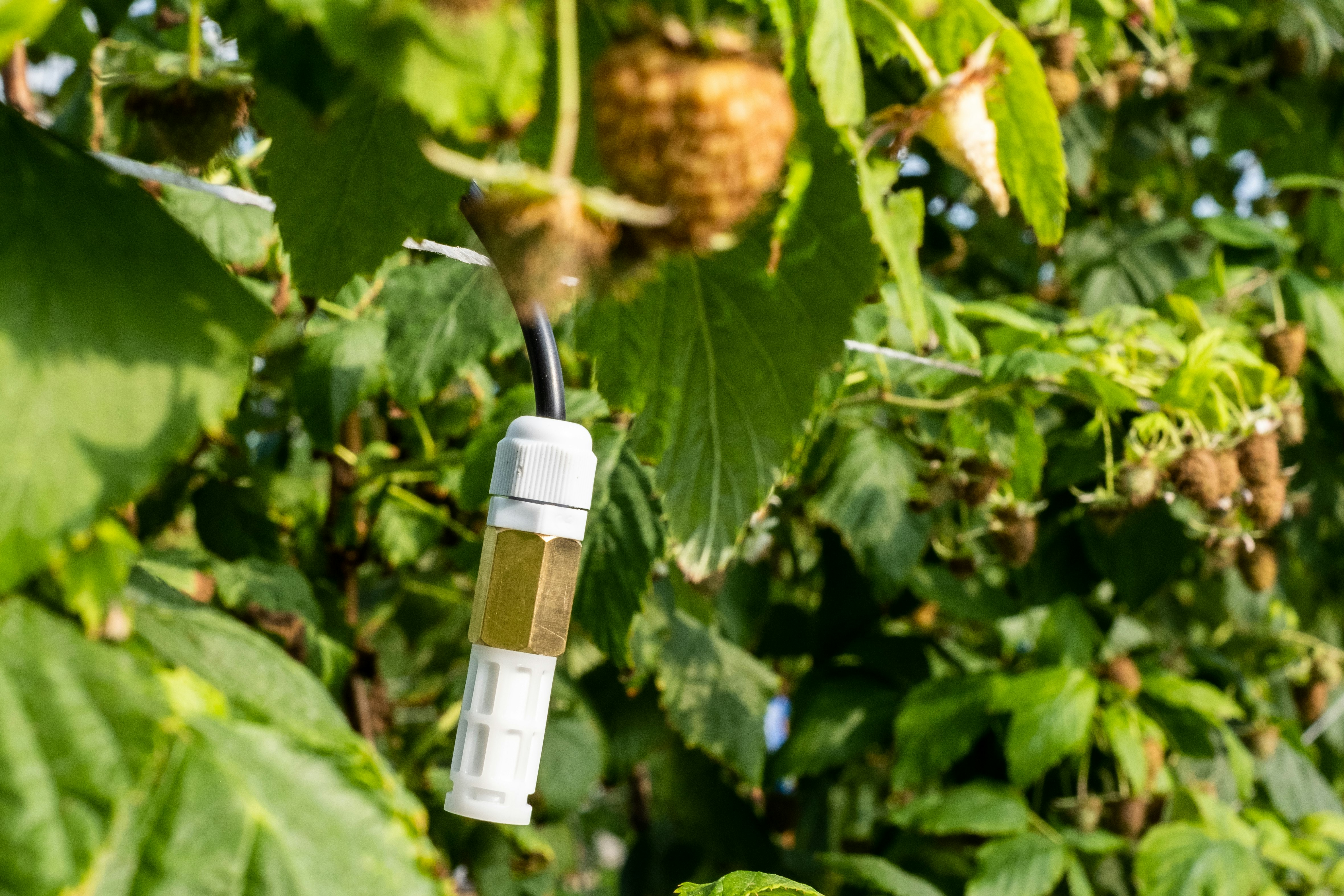 LUALTEK - Ihr virtueller Agronomist ohne Internet und Strom Medien 3
