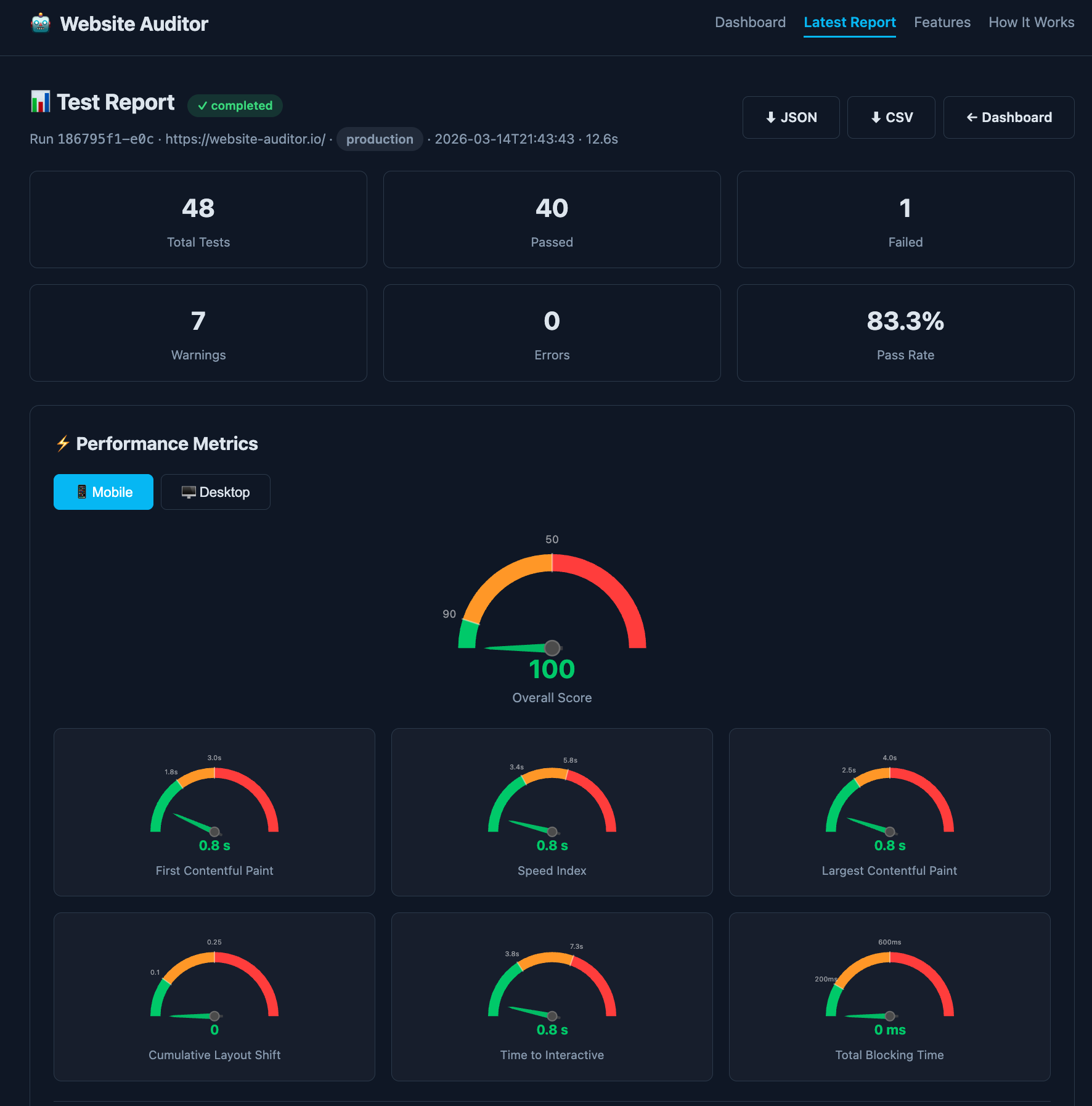 SEO Website Auditor - Screenshot 3 showing product features and functionality