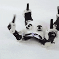 Quadbot
