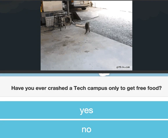 The Silicon Valley Stable