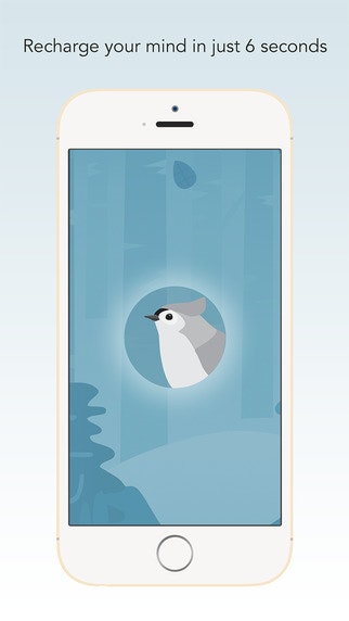Wildfulness gallery image
