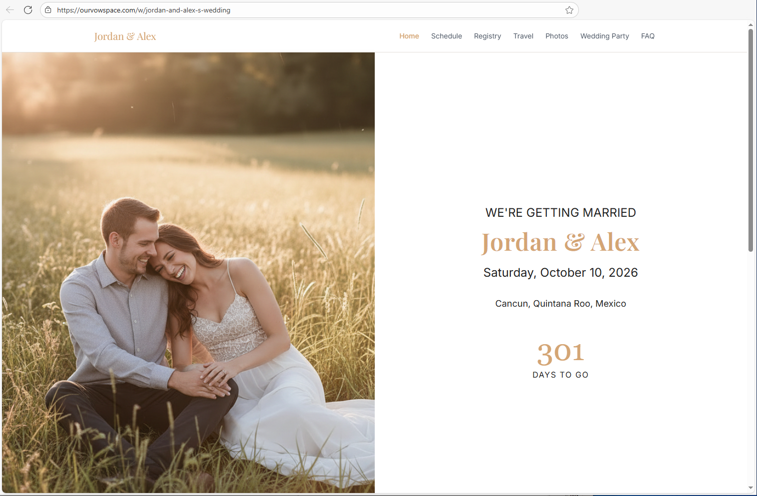 VowSpace - Screenshot 3 showing product features and functionality