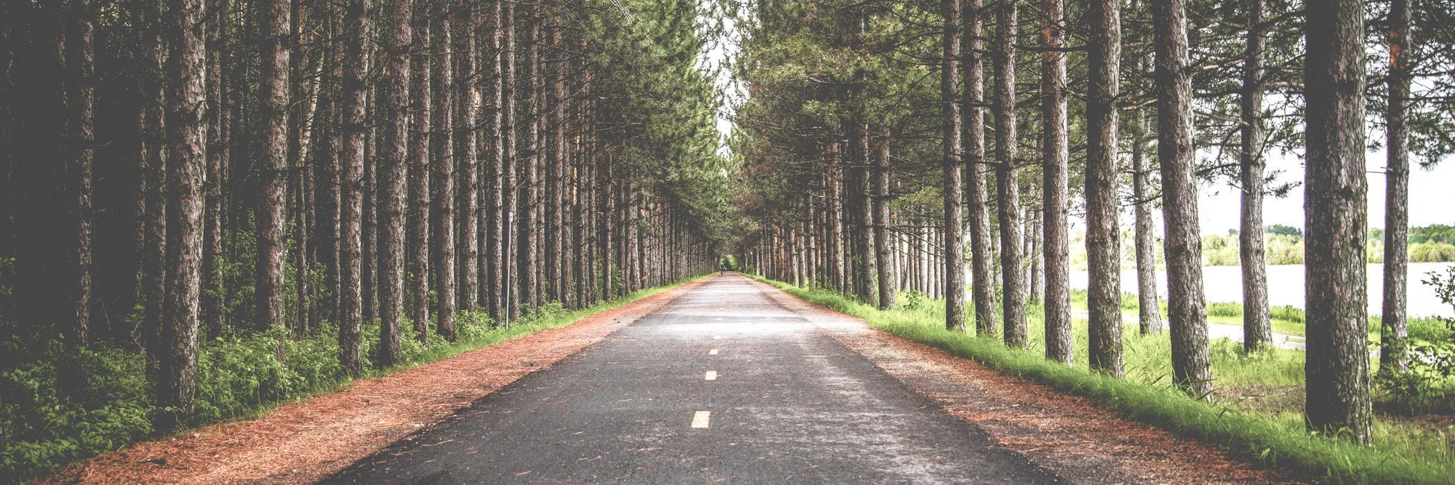 Vinny La Barbera cover