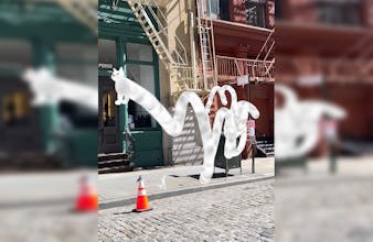 longARcat App gallery image