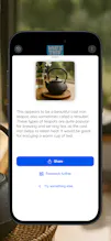 What Is This Thing? gallery image