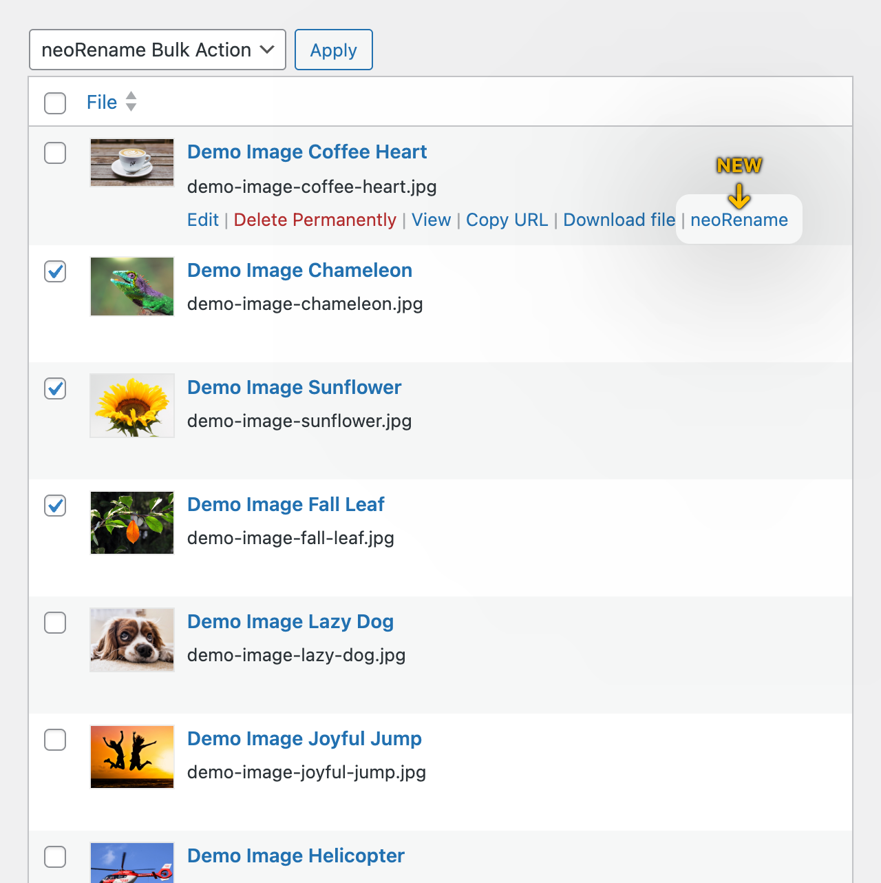 neoRename - WP plugin to rename images gallery image