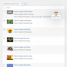 neoRename - WP plugin to rename images gallery image