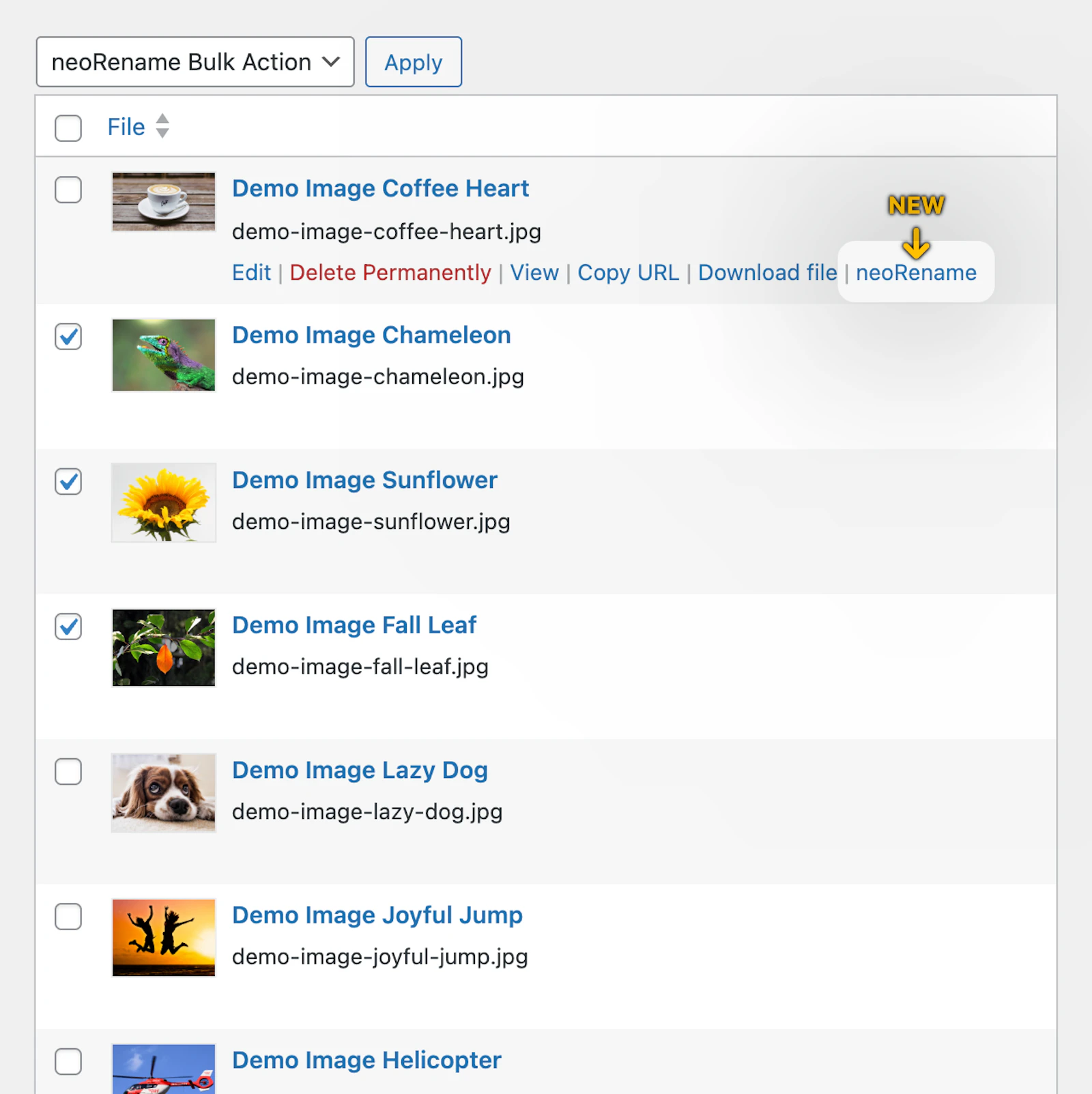 neoRename - WP plugin to rename images screenshot 9