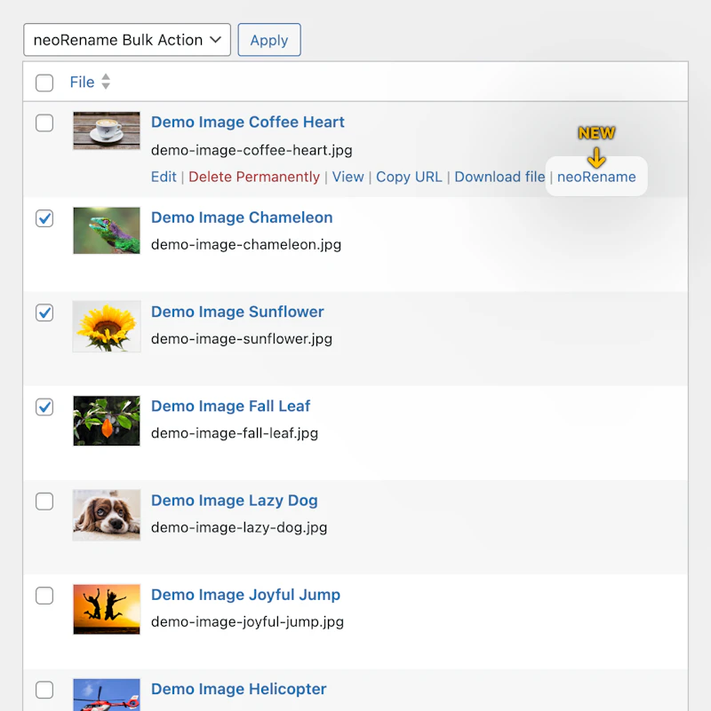 neoRename - WP plugin to rename images screenshot 9