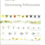 Envisioning Information