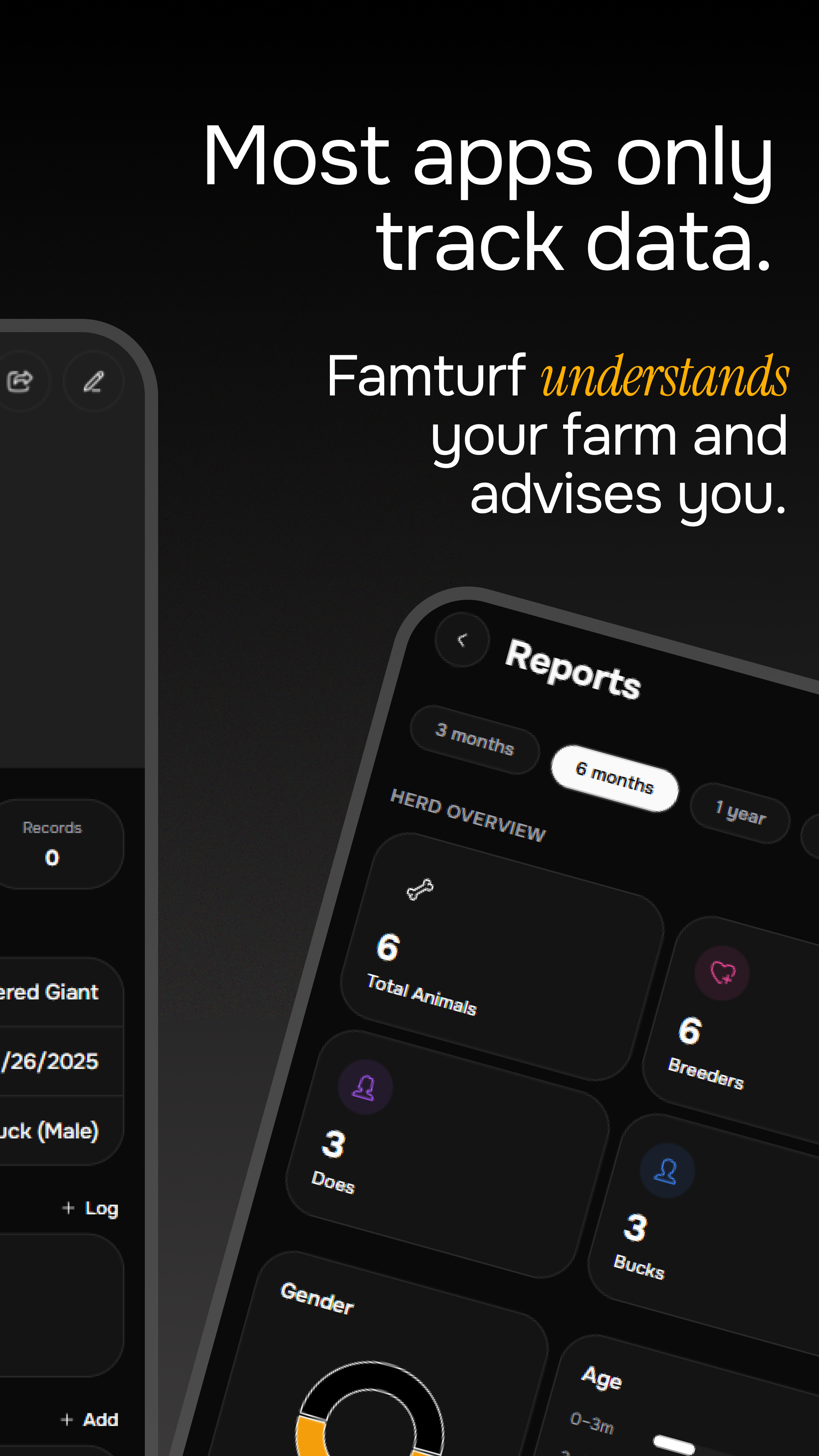 Famturf  gallery image