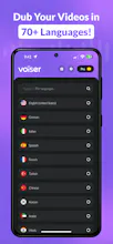 Voiser gallery image
