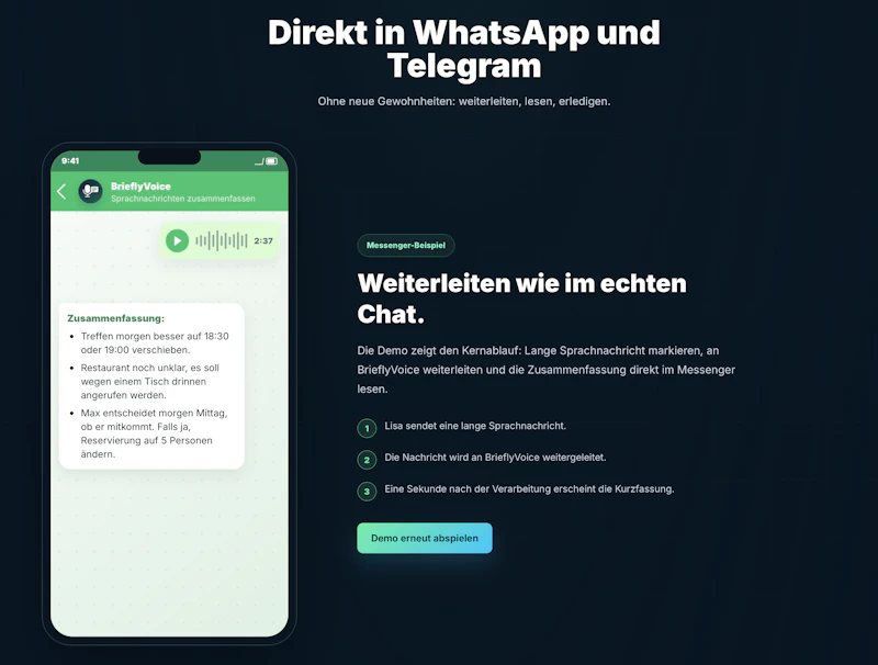 BrieflyVoice screenshot 2