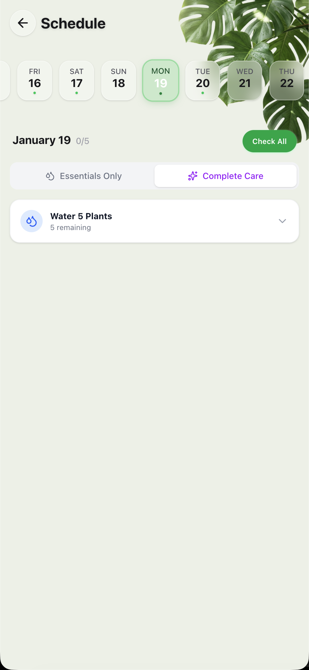 LeafyBook gallery image