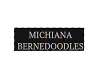 Michiana Bernedoodles media 2