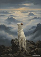 Dog Cartoonizer app - alpha version gallery image