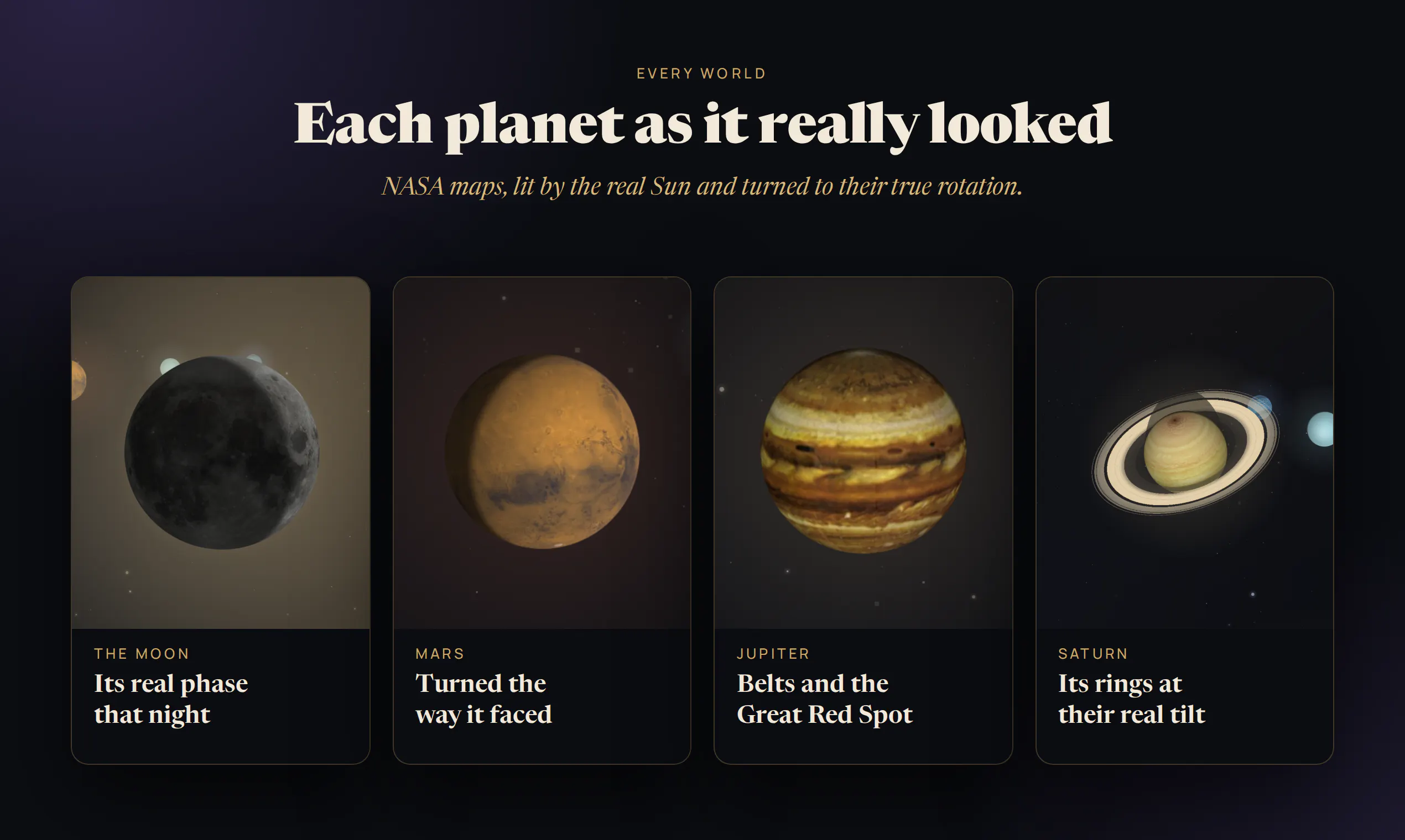Pluto Garden gallery image
