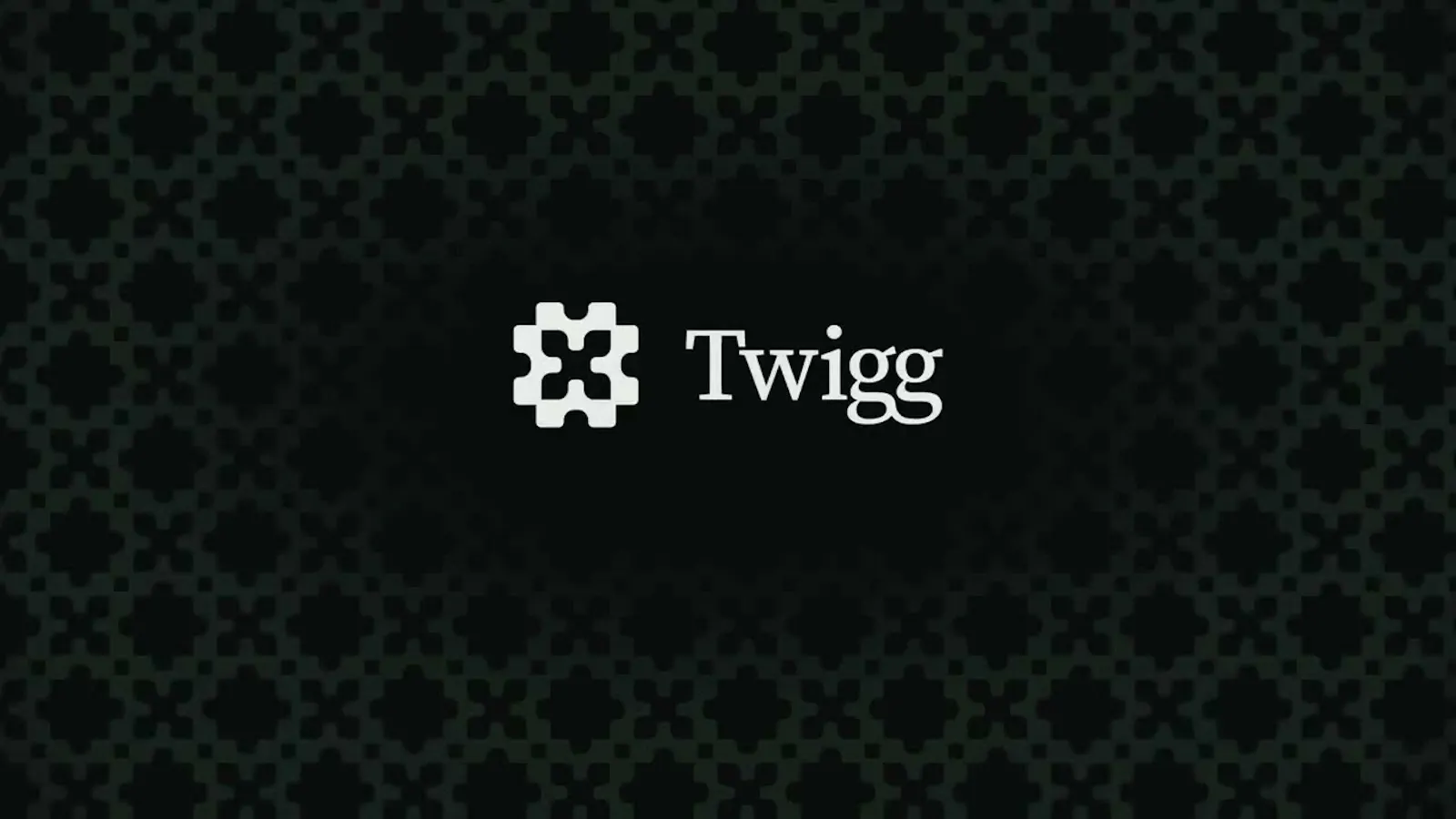 Twigg screenshot 1 (video preview)