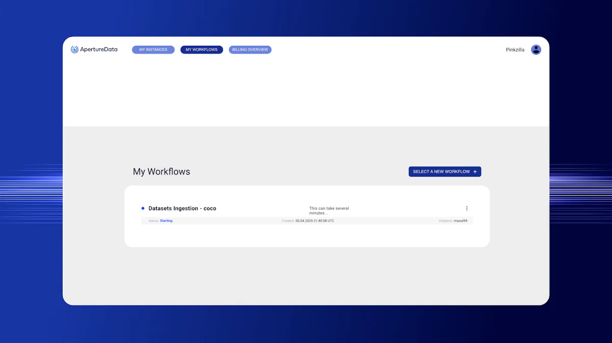 ApertureDB Multimodal AI Workflows