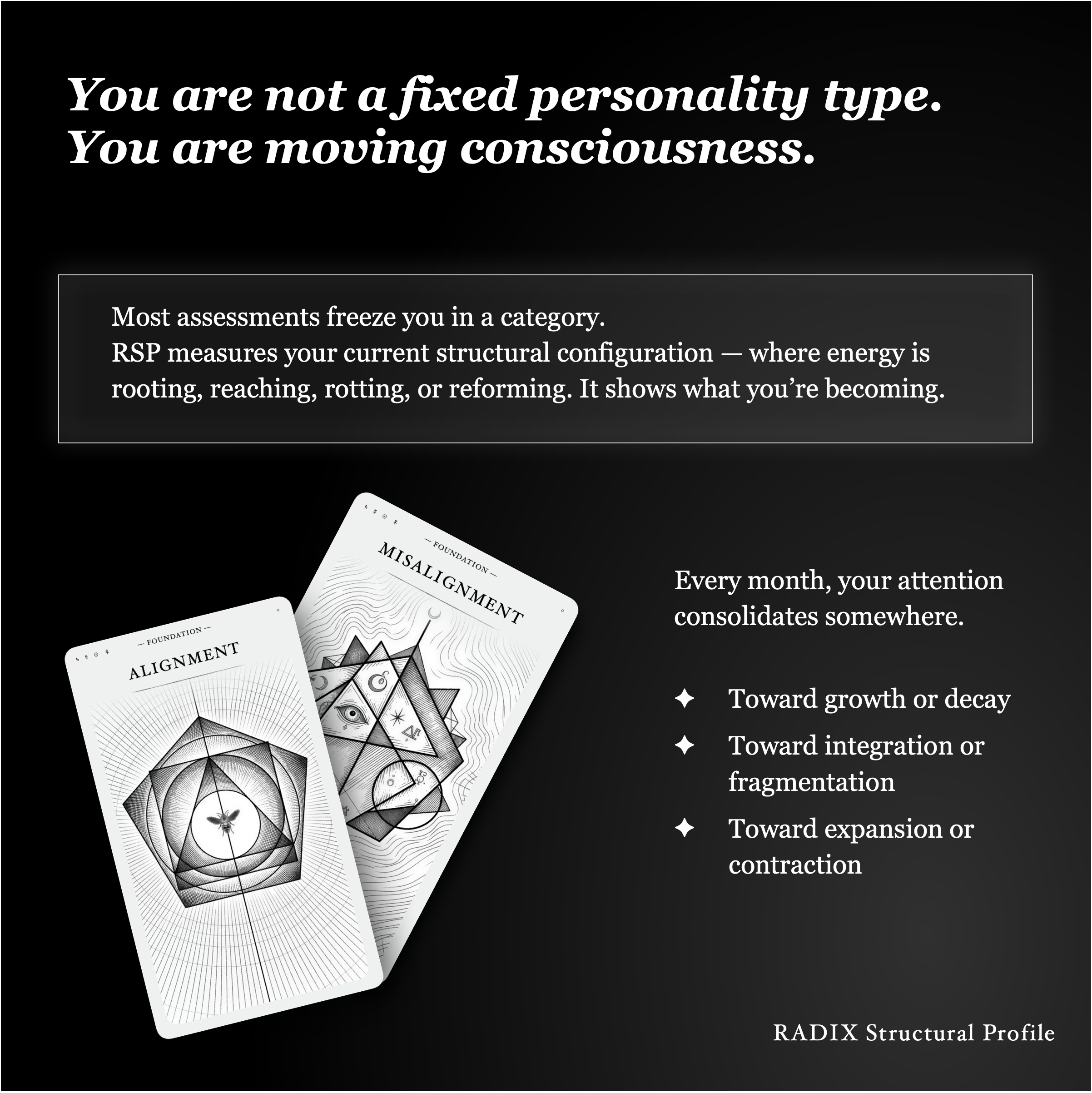 RADIX Structural Profile gallery image