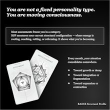 RADIX Structural Profile gallery image