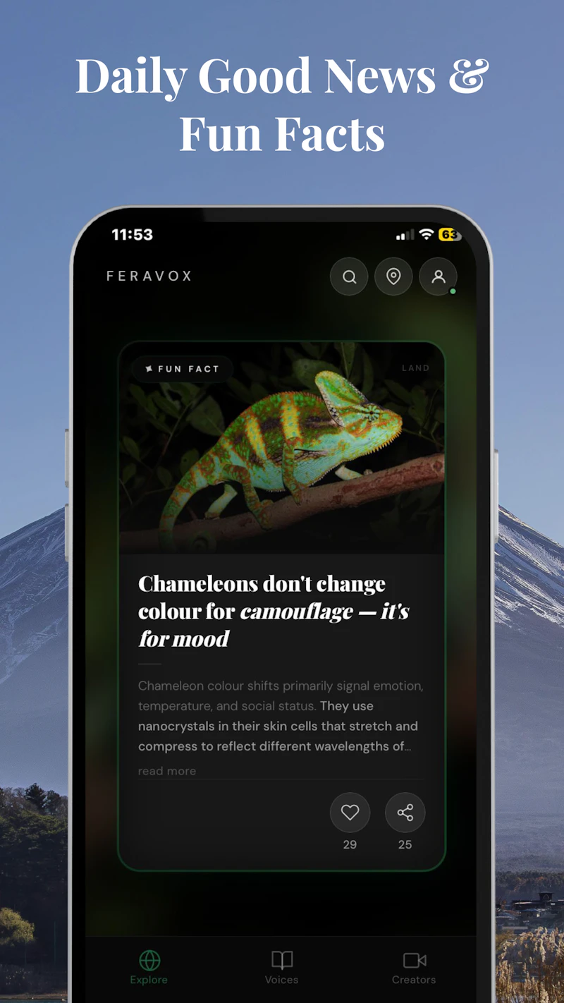 Feravox screenshot 8