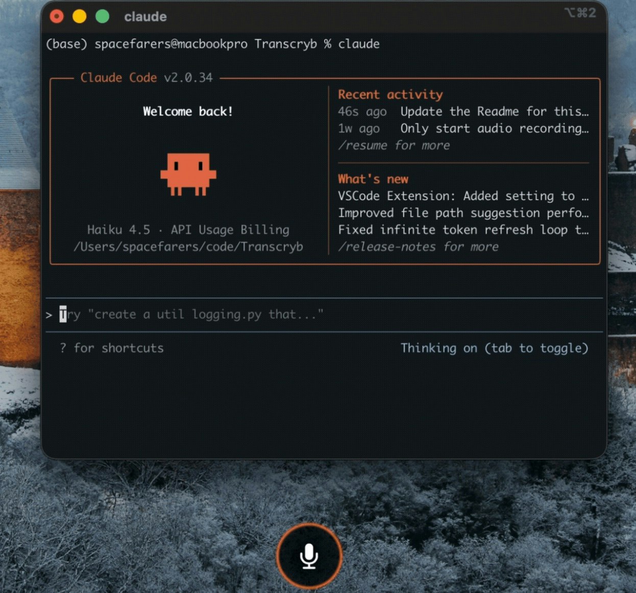 Transcryb - Main screenshot showing features and interface