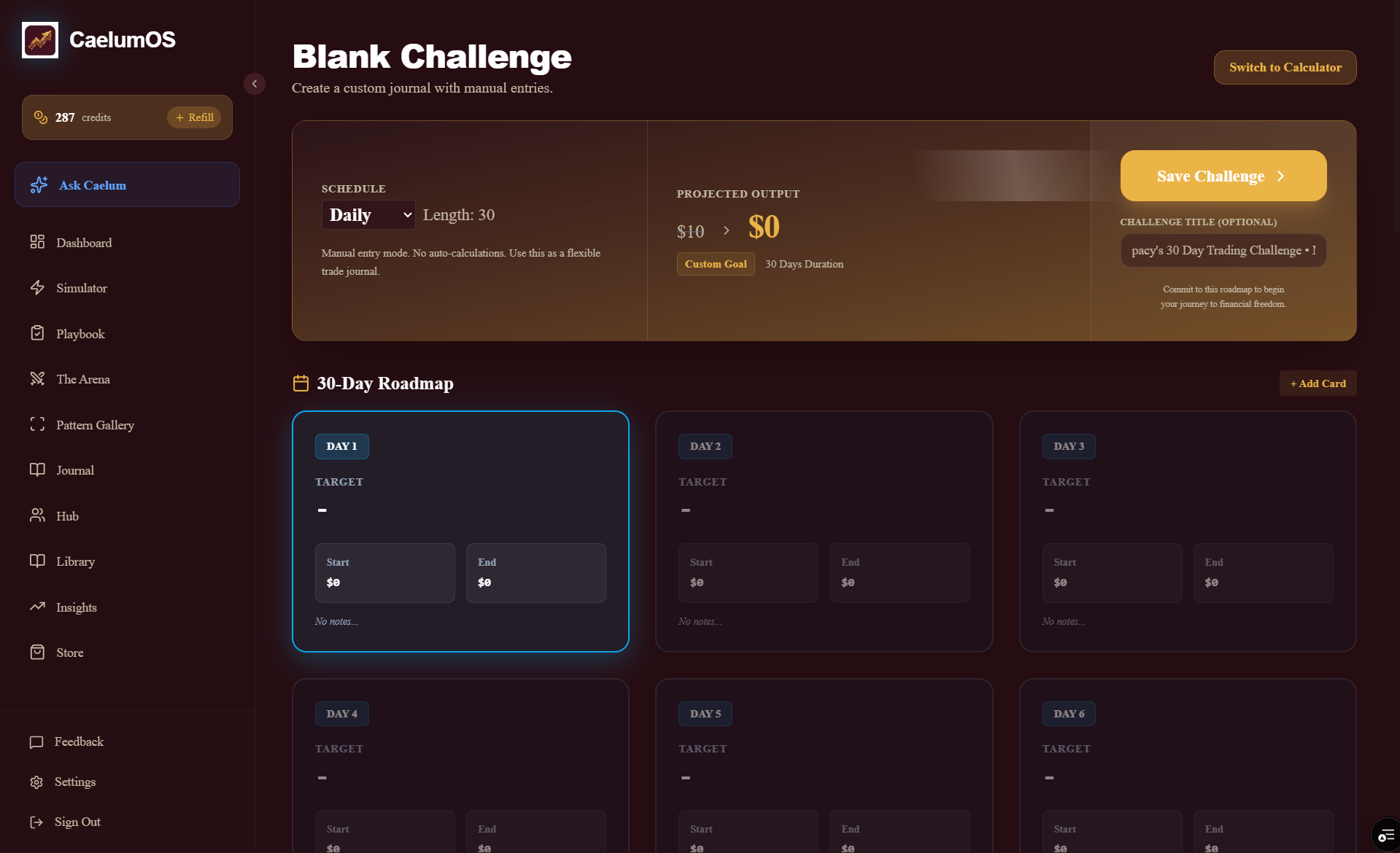 CaelumOS gallery image