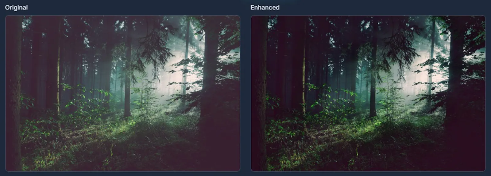 EnhanceCraft - AI Image Toolkit screenshot 15